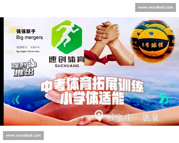 体育团队管理创新模式与竞技人才培养协同发展的实践路径研究